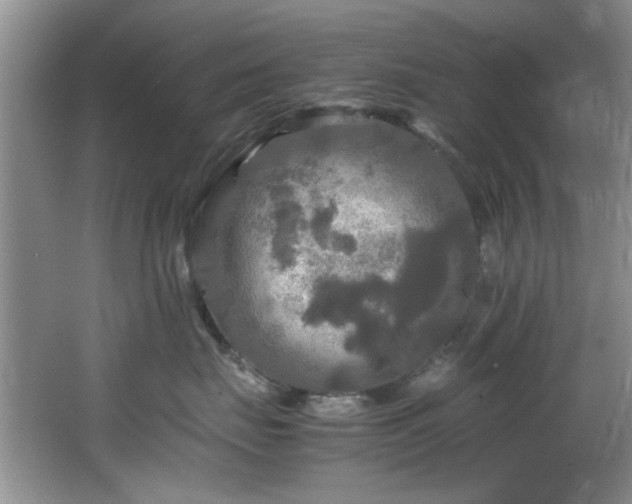 X0000066000671200603061325