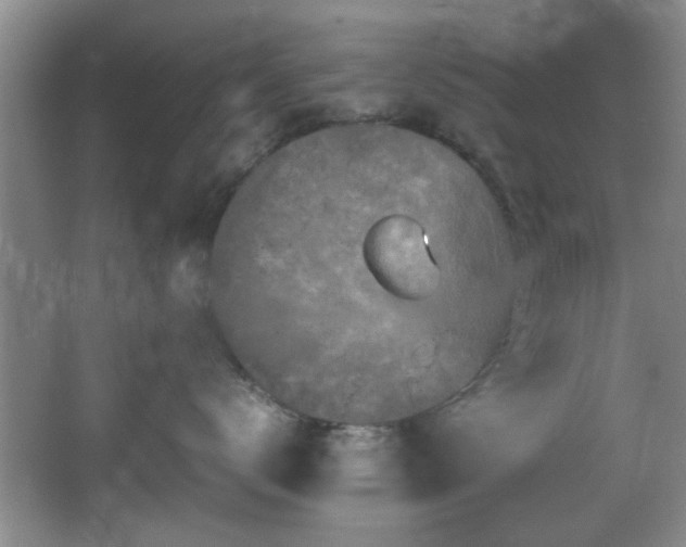 X0000066000672200603061325