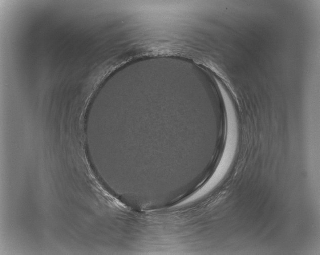 X0000066000673200603061324