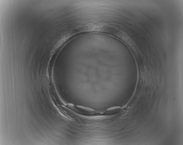 X0000066000674200603061324