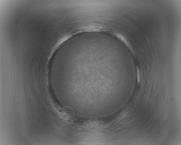 X0000066000675200603061324