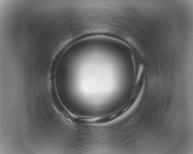 X0000066000676200603061324