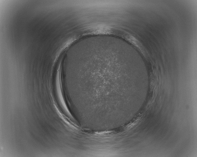 X0000066000677200603061324