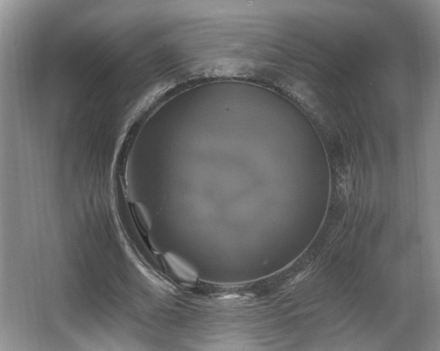 X0000066000678200603061324