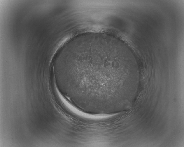 X0000066000679200603061324