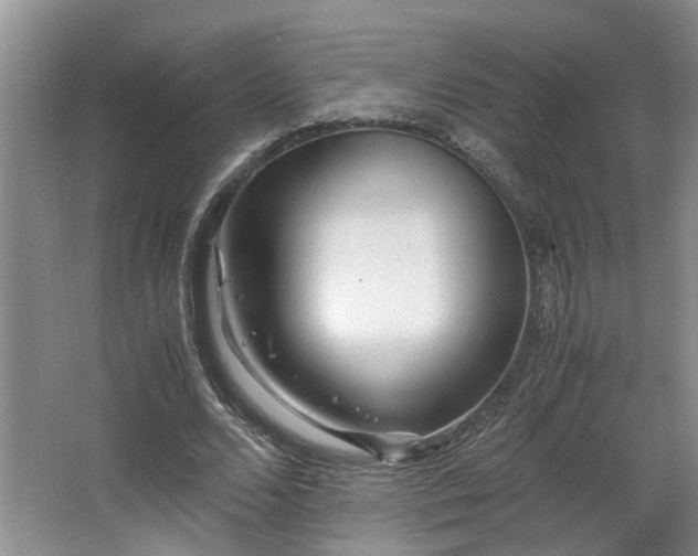 X0000066000680200603061324