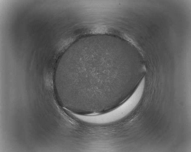 X0000066000681200603061324