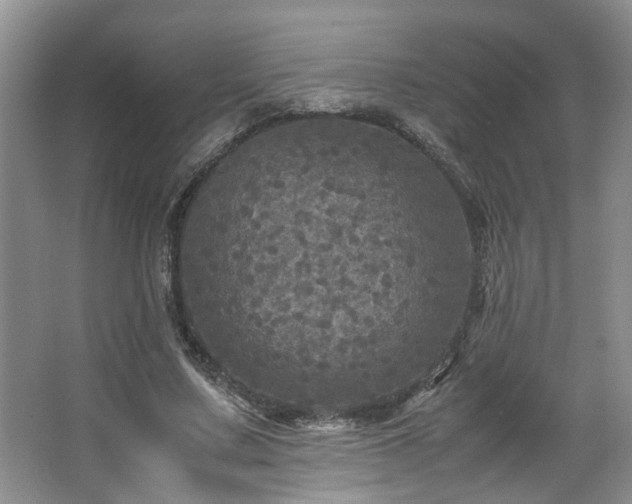 X0000066000683200603061324