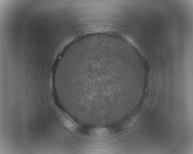 X0000066000685200603061324