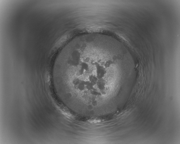 X0000066000687200603061324