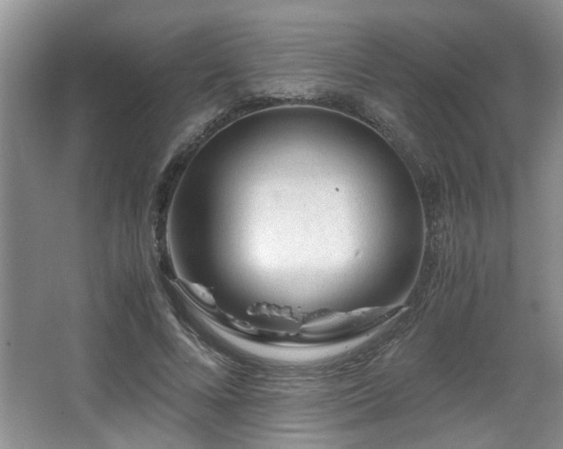 X0000066000688200603061324