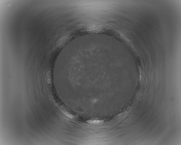 X0000066000689200603061324