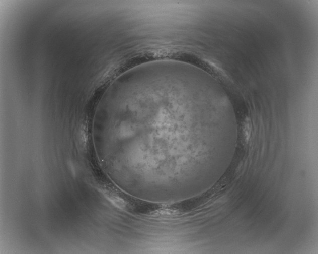 X0000066000691200603061324