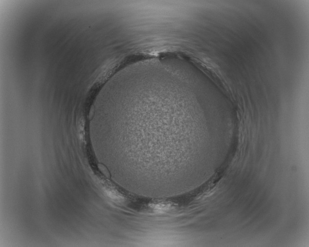 X0000066000693200603061324