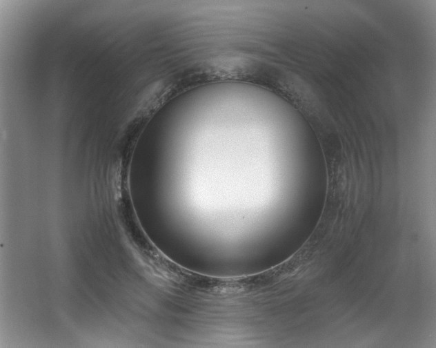 X0000066000694200603061324