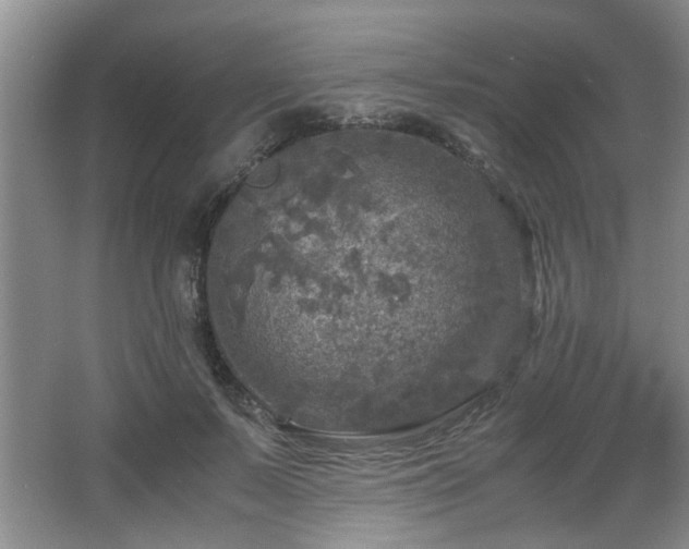 X0000066000695200603061324