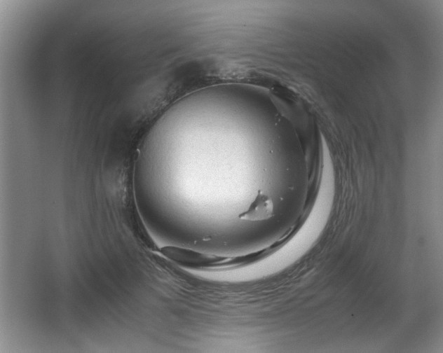 X0000066000697200603061324