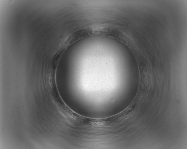 X0000066000698200603061324