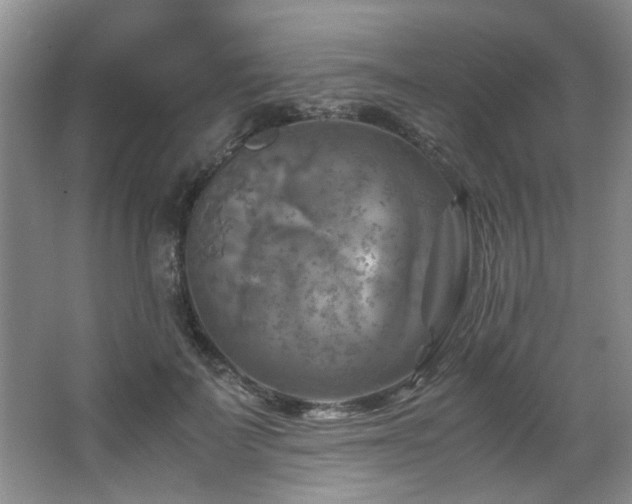 X0000066000699200603061324