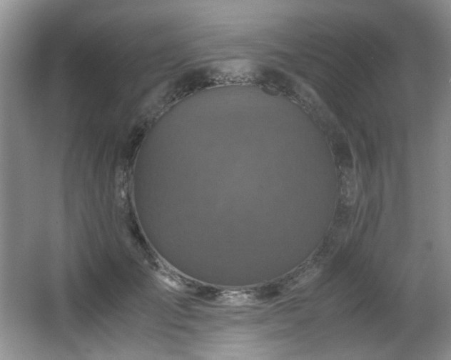 X0000066000701200603061324