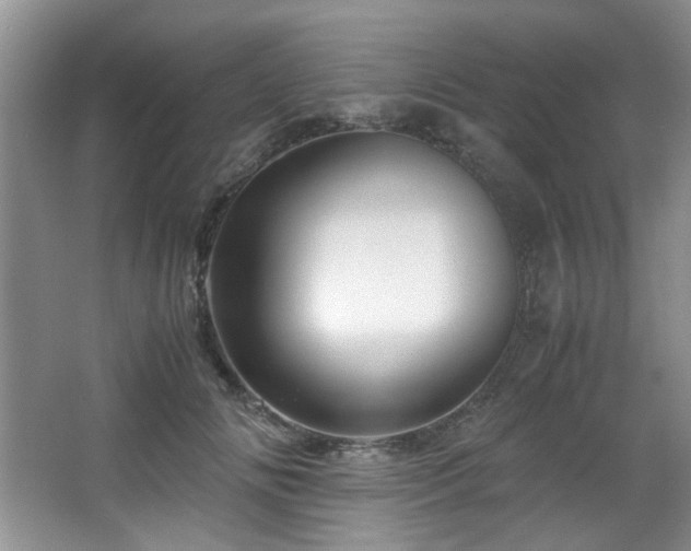 X0000066000702200603061324