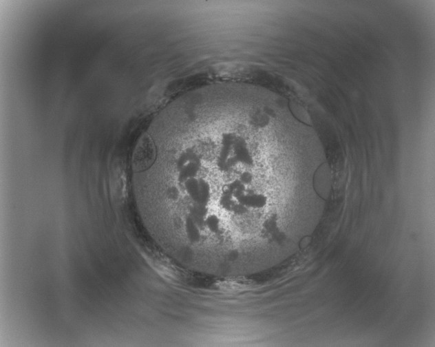 X0000066000703200603061323