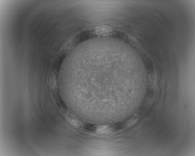 X0000066000705200603061323