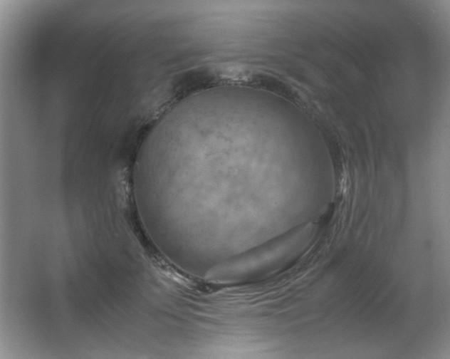 X0000066000707200603061323