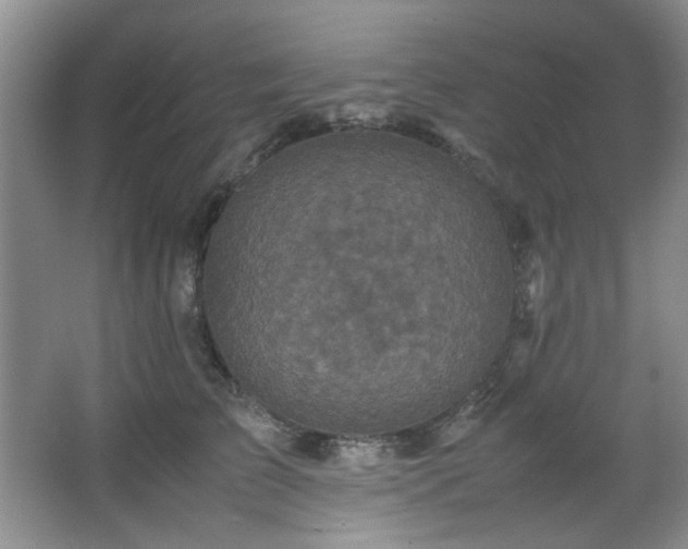 X0000066000709200603061323