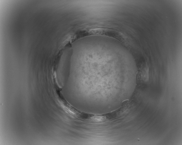 X0000066000711200603061323