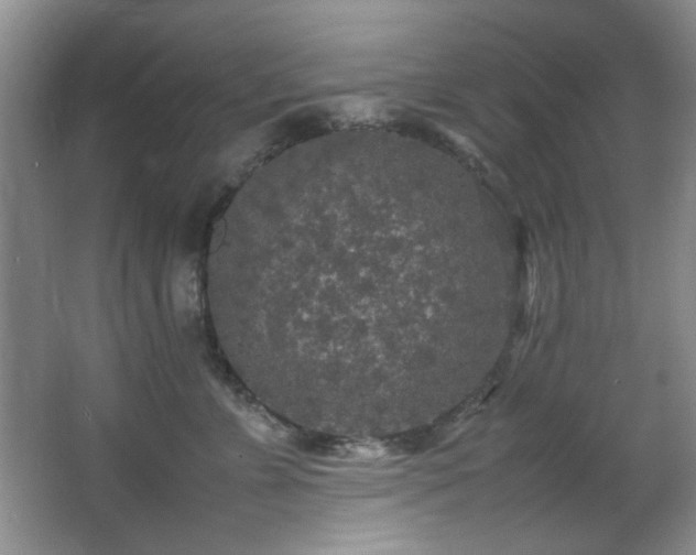 X0000066000715200603061323