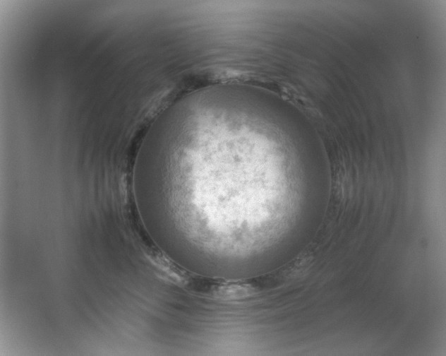 X0000066000716200603061323