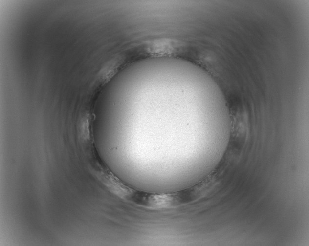 X0000066000717200603061323