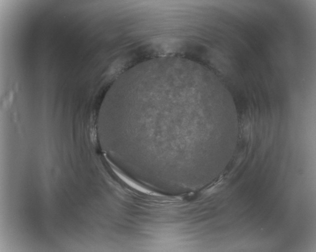 X0000066000719200603061323