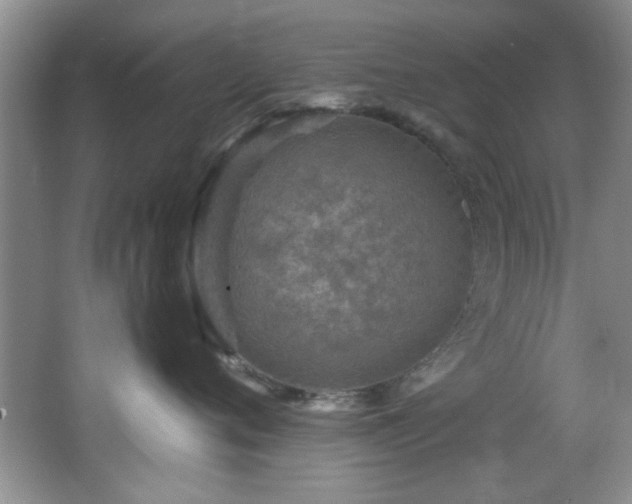 X0000066000720200603061323