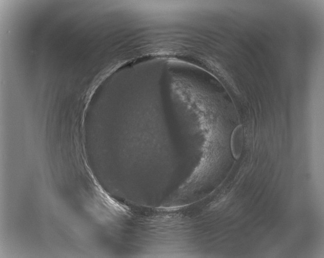 X0000066000721200603061322