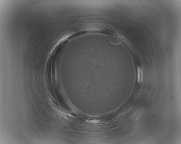 X0000066000723200603061322