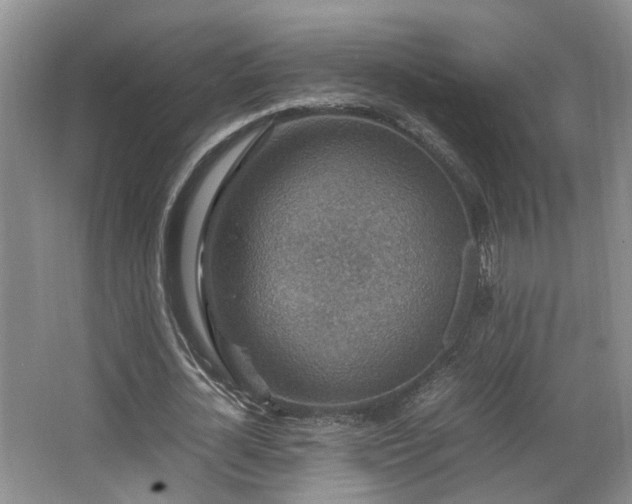 X0000066000724200603061322