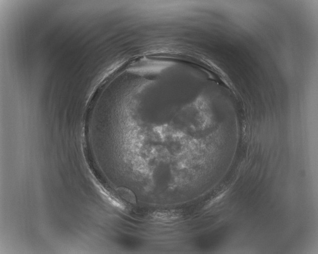 X0000066000725200603061322