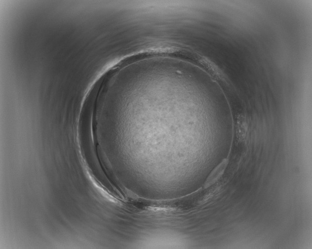 X0000066000726200603061322