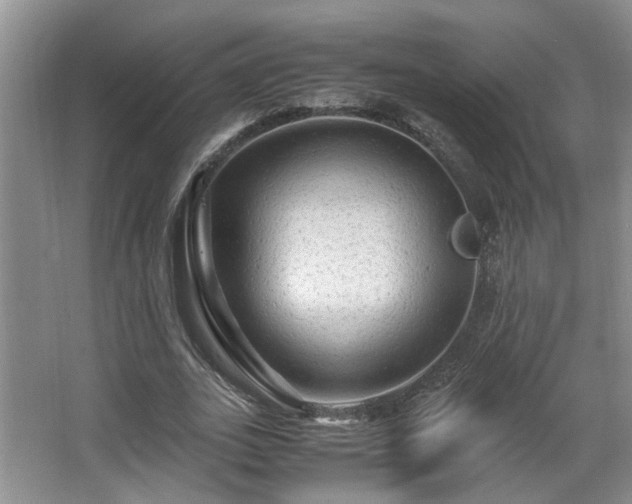 X0000066000727200603061322