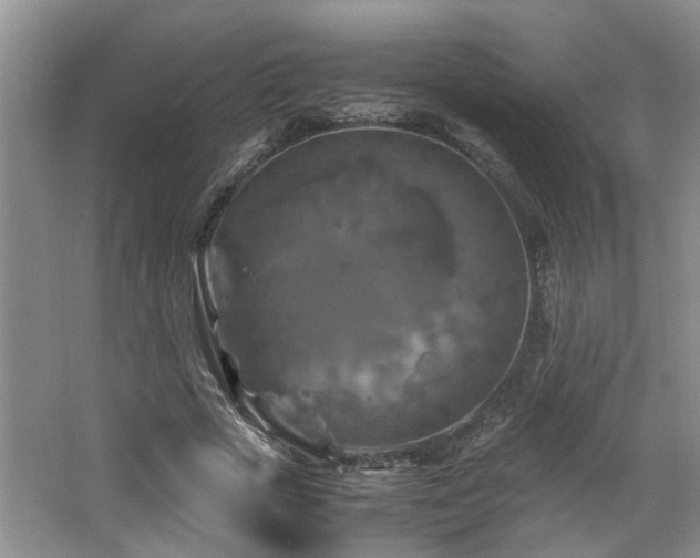 X0000066000729200603061323