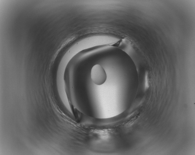 X0000066000731200603061323