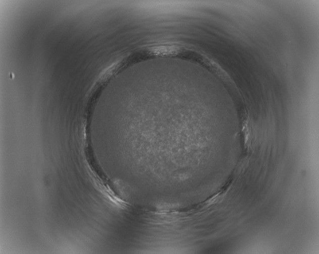 X0000066000733200603061323