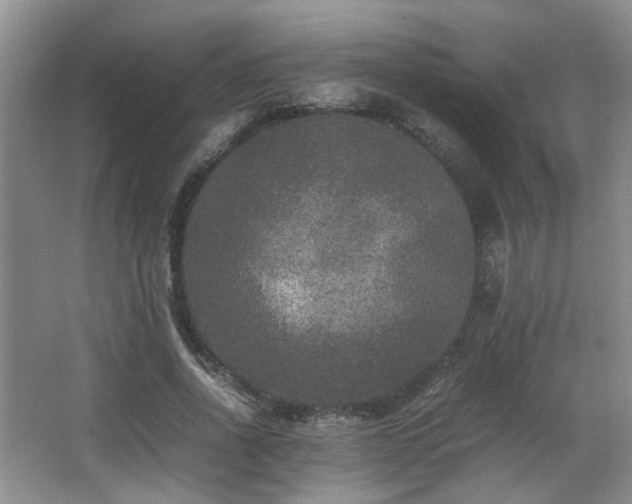 X0000066000734200603061323