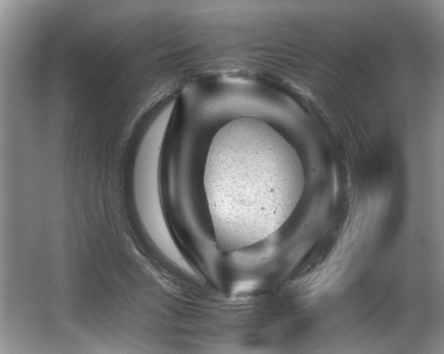 X0000066000735200603061323