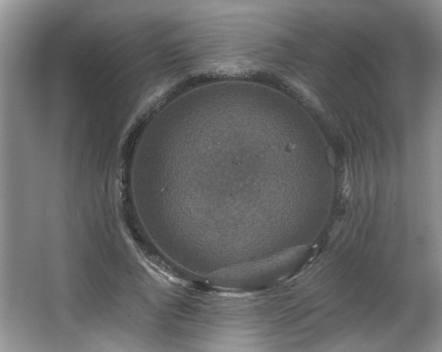 X0000066000736200603061323