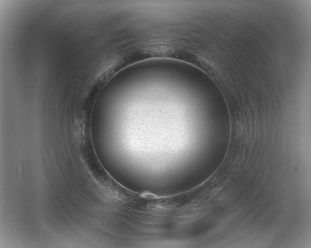 X0000066000739200603061323