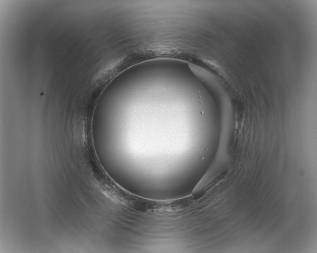 X0000066000740200603061323