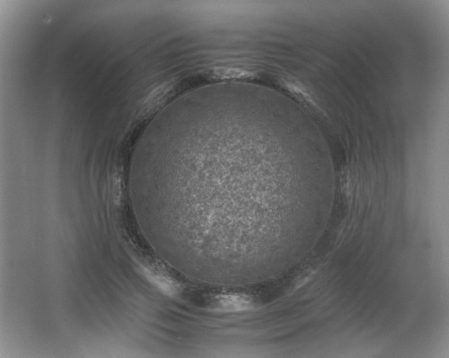 X0000066000741200603061323